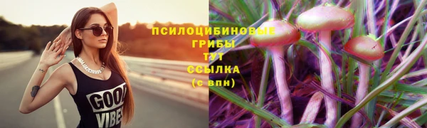 молекула духа Алзамай