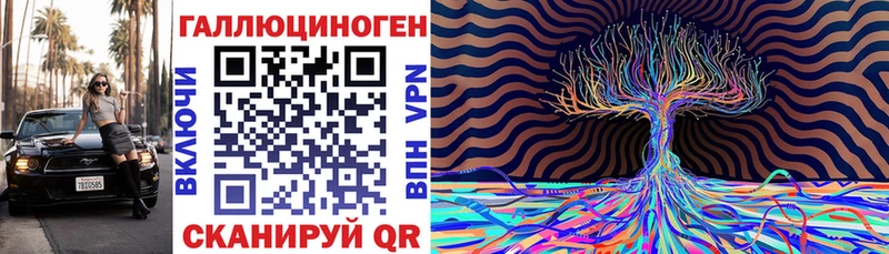 Галлюциногенные грибы Psilocybine cubensis  Нестеров 