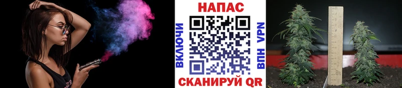 Бошки Шишки план  наркотики  Нестеров 